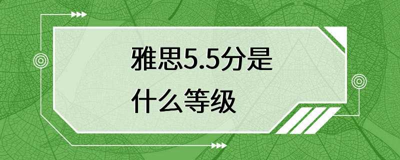 雅思5.5分是什么等级