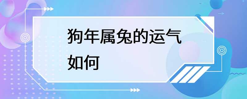 狗年属兔的运气如何