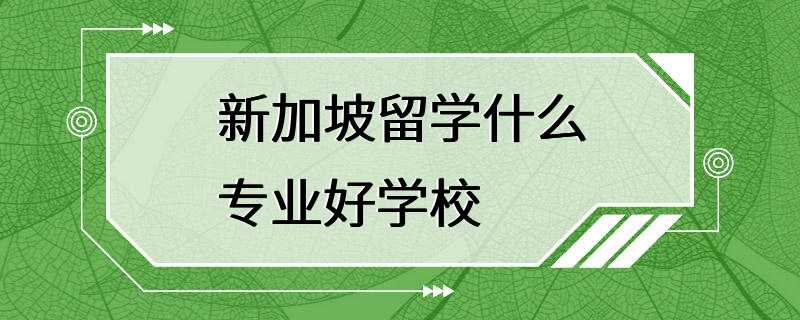 新加坡留学什么专业好学校