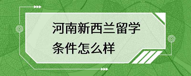 河南新西兰留学条件怎么样