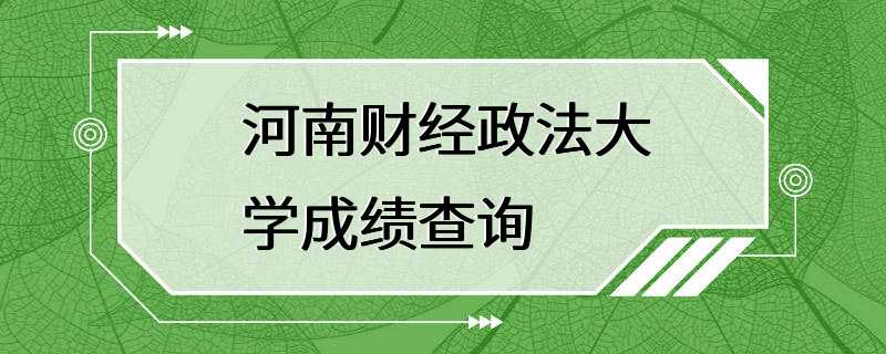 河南财经政法大学成绩查询