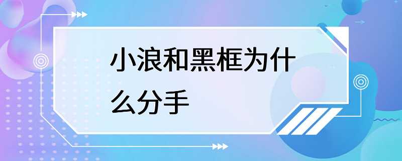 小浪和黑框为什么分手