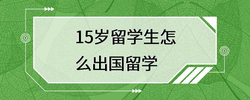 15岁留学生怎么出国留学