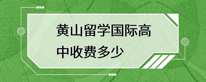 黄山留学国际高中收费多少