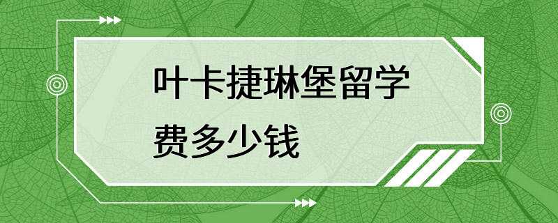 叶卡捷琳堡留学费多少钱