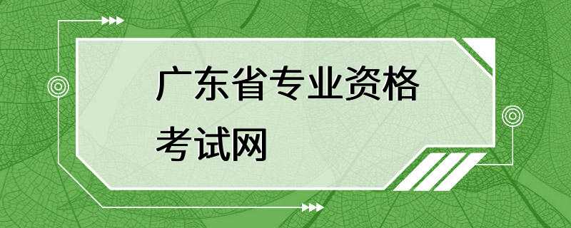 广东省专业资格考试网