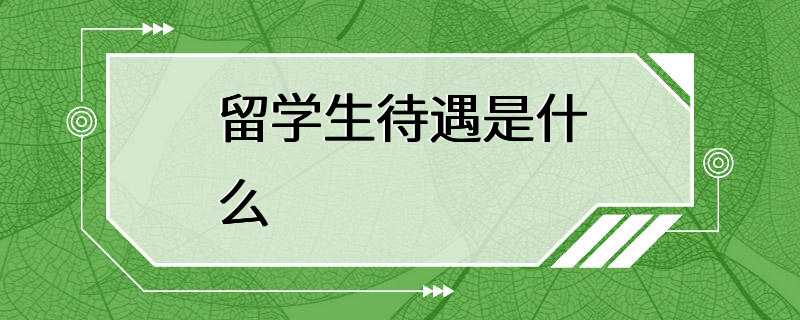 留学生待遇是什么