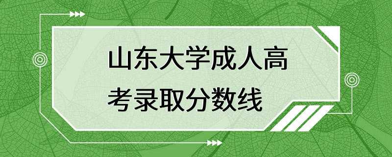 山东大学成人高考录取分数线