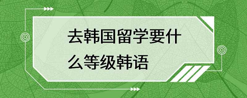 去韩国留学要什么等级韩语