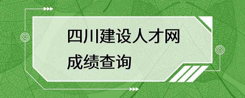 四川建设人才网成绩查询