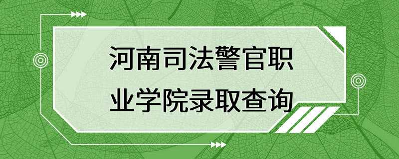 河南司法警官职业学院录取查询