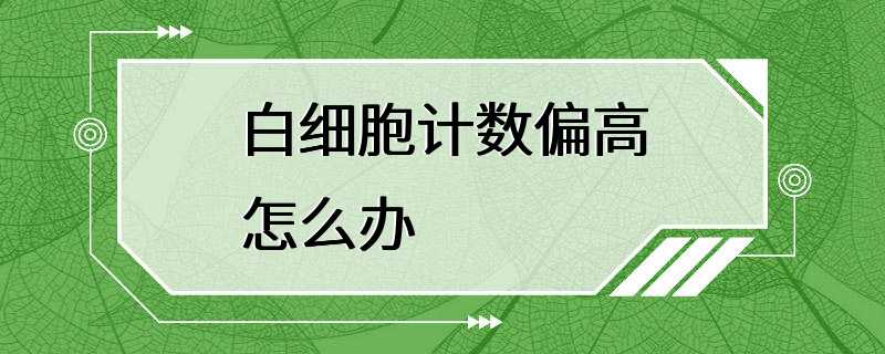 白细胞计数偏高怎么办