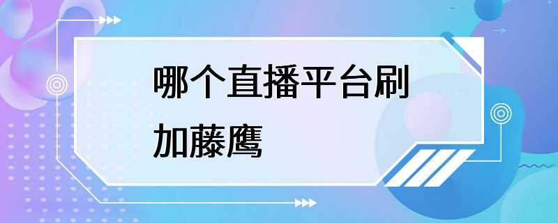 哪个直播平台刷加藤鹰