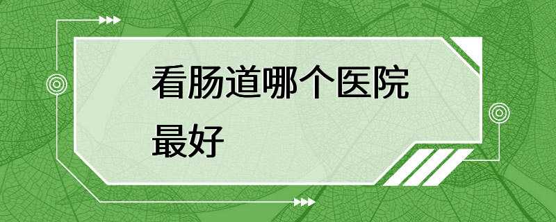 看肠道哪个医院最好