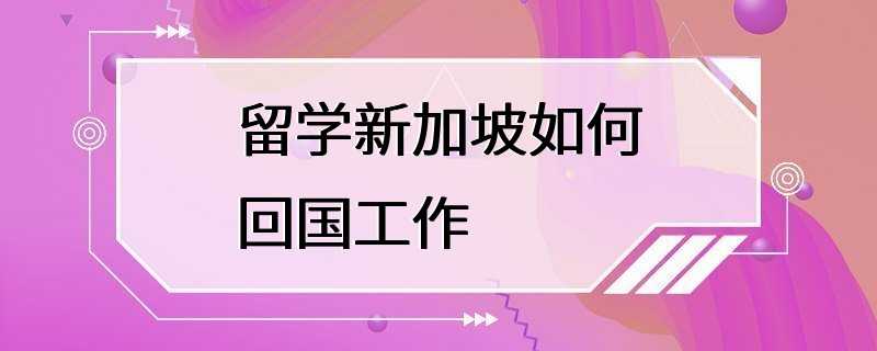 留学新加坡如何回国工作