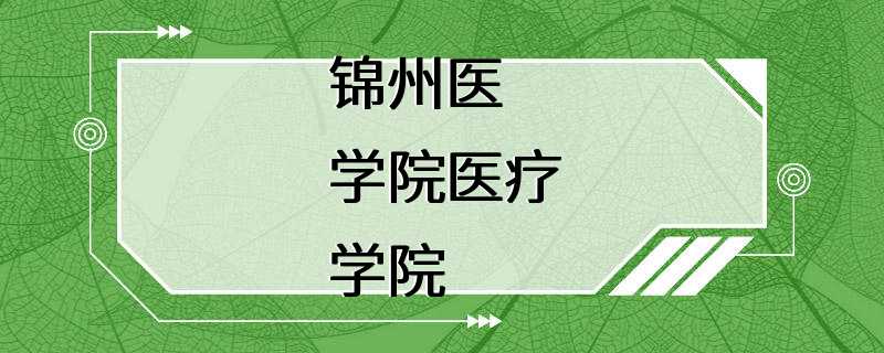 锦州医学院医疗学院