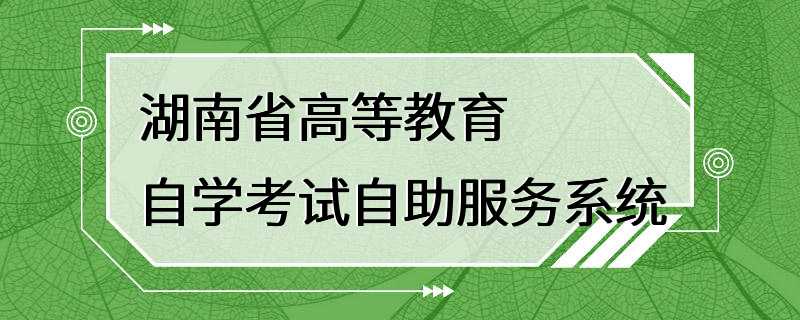 湖南省高等教育自学考试自助服务系统