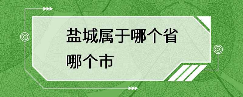 盐城属于哪个省哪个市