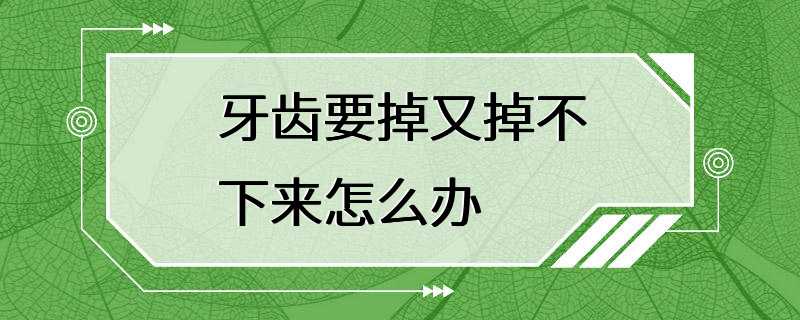 牙齿要掉又掉不下来怎么办