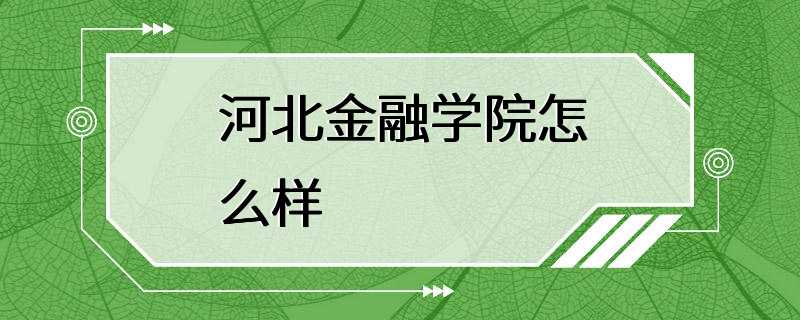 河北金融学院怎么样