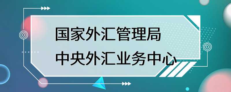 国家外汇管理局中央外汇业务中心