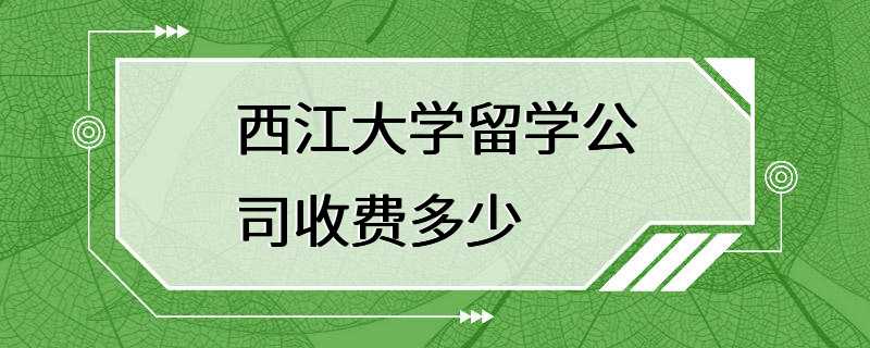 西江大学留学公司收费多少