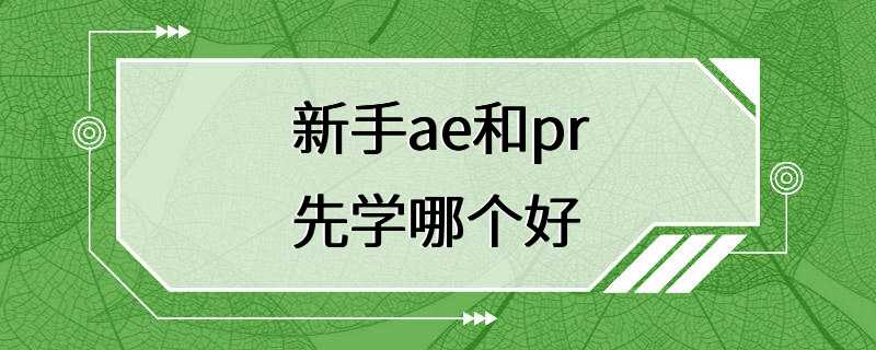 新手ae和pr先学哪个好