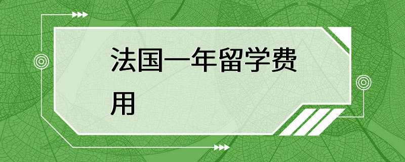 法国一年留学费用