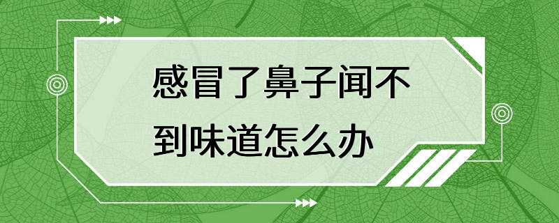 感冒了鼻子闻不到味道怎么办