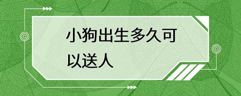 小狗出生多久可以送人