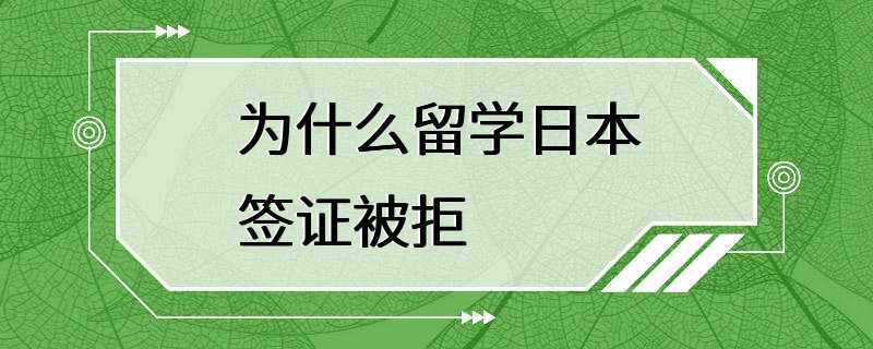 为什么留学日本签证被拒