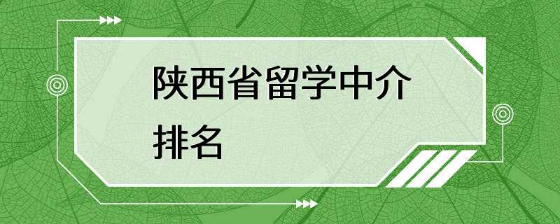 陕西省留学中介排名