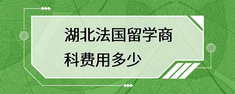 湖北法国留学商科费用多少