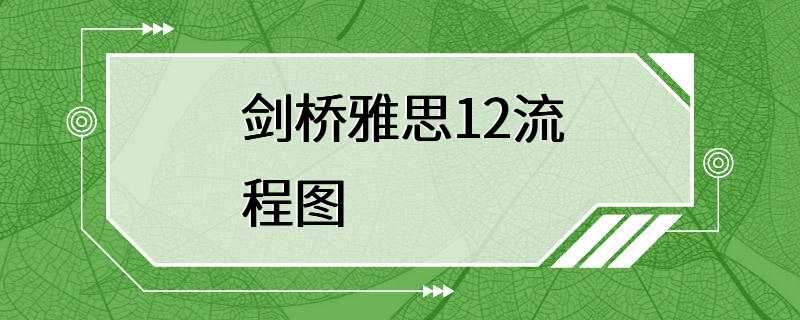 剑桥雅思12流程图