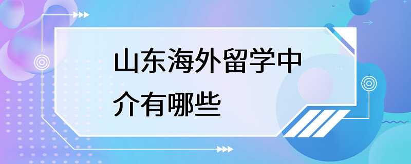 山东海外留学中介有哪些