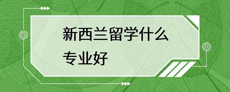 新西兰留学什么专业好