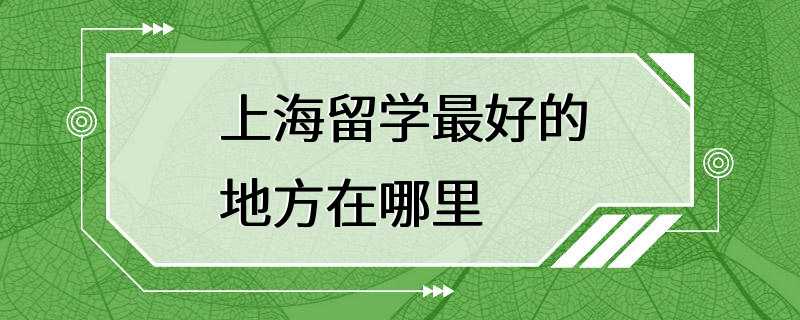 上海留学最好的地方在哪里