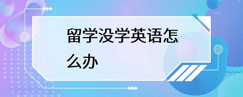 留学没学英语怎么办