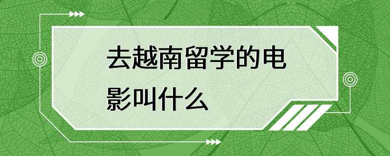 去越南留学的电影叫什么