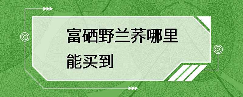 富硒野兰荞哪里能买到