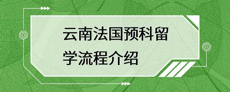 云南法国预科留学流程介绍