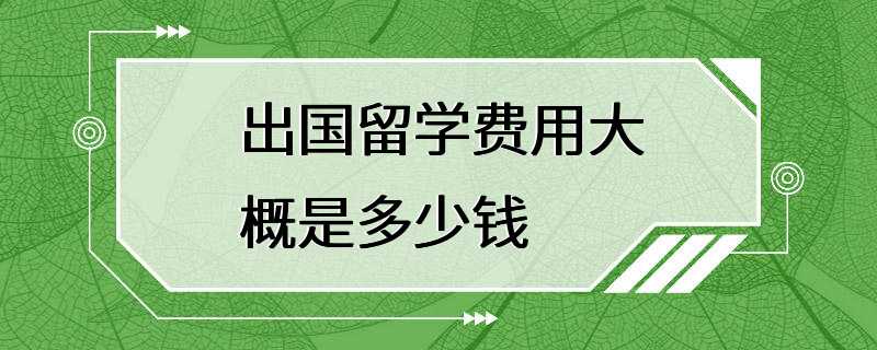 出国留学费用大概是多少钱