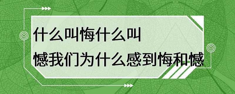 什么叫悔什么叫憾我们为什么感到悔和憾