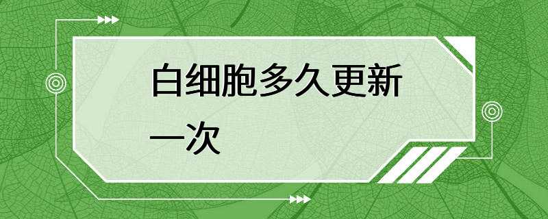 白细胞多久更新一次