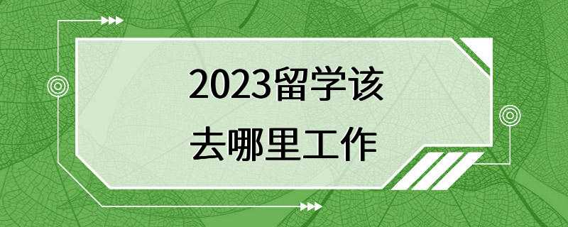 2023留学该去哪里工作