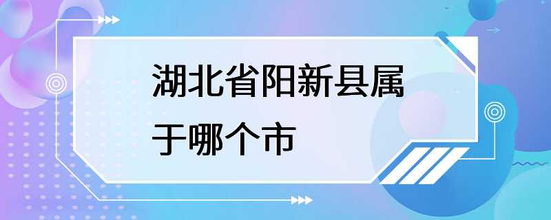 湖北省阳新县属于哪个市