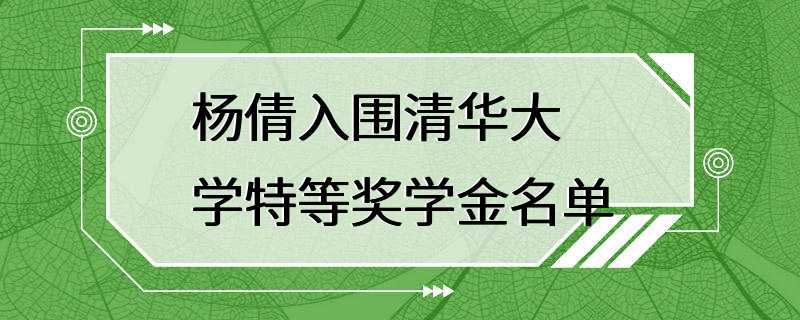 杨倩入围清华大学特等奖学金名单