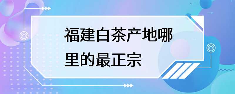 福建白茶产地哪里的最正宗