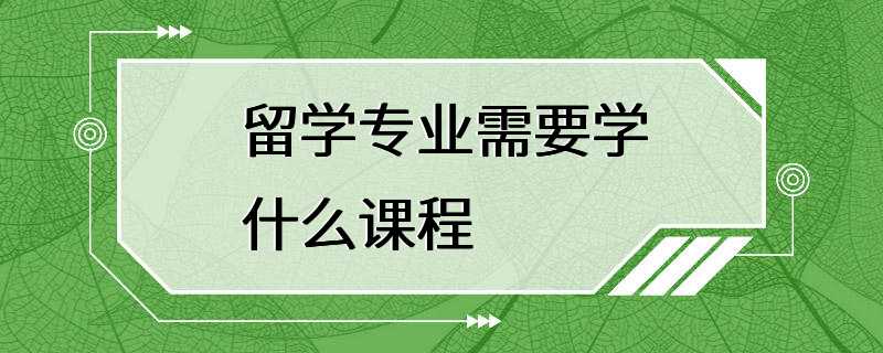 留学专业需要学什么课程