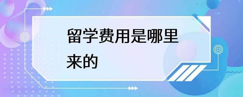 留学费用是哪里来的